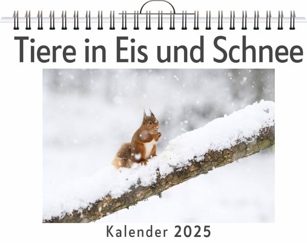 Tiere in Eis und Schnee Tiere in Eis und Schnee