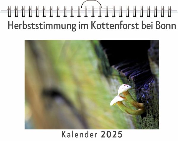 Herbststimmung im Kottenforst bei Bonn