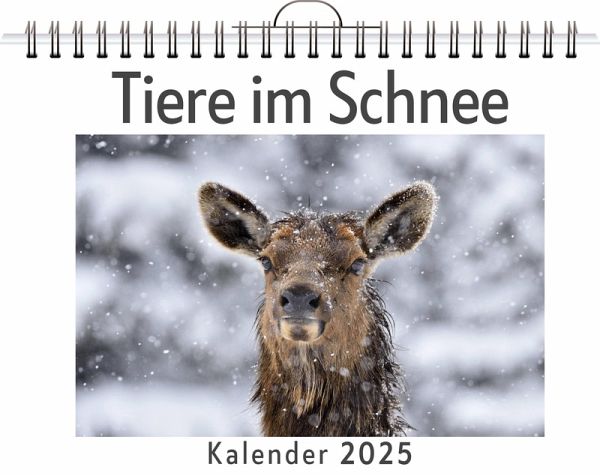 Tiere im Schnee Tiere im Schnee