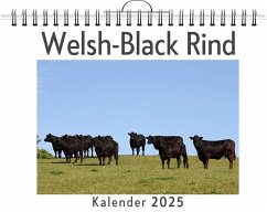 Welsh-Black Rind - Braun, Theo