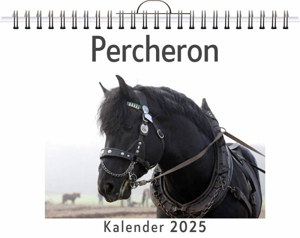Percheron Percheron