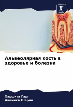 Cover Al'weolqrnaq kost' w zdorow'e i bolezni