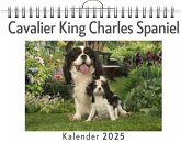 Cavalier King Charles Spaniel Cavalier King Charles Spaniel