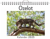 Ozelot Ozelot