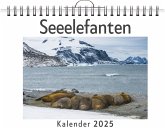 Seeelefanten Seeelefanten