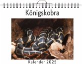 Königskobra Königskobra
