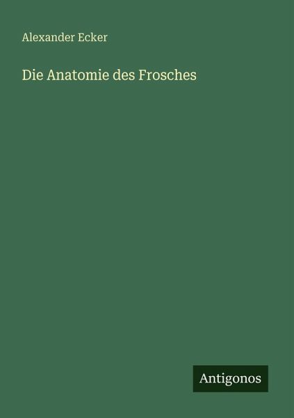 Die Anatomie des Frosches