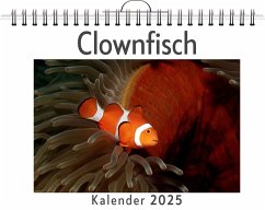 Clownfisch - Möller, Julia