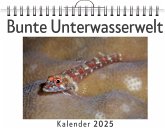 Bunte Unterwasserwelt Bunte Unterwasserwelt