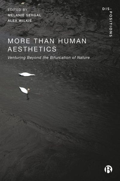More-Than-Human Aesthetics More-Than-Human Aesthetics