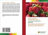 A Cadeia Produtiva do Morango - Bild 1