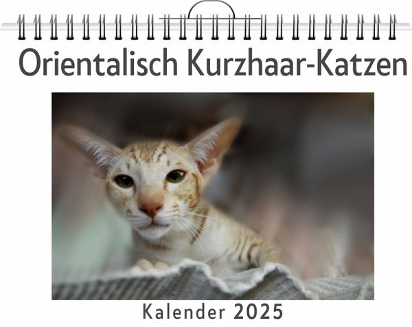 Orientalisch Kurzhaar-Katzen