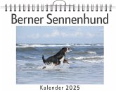 Berner Sennenhund Berner Sennenhund