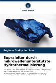 Supraleiter durch mikrowellenunterstützte Hydrothermalisierung
