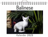 Balinese Balinese
