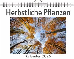 Herbstliche Pflanzen - Maier, Ben