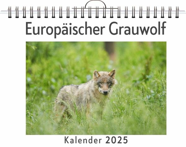Europäischer Grauwolf