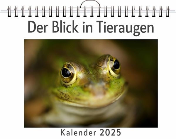 Der Blick in Tieraugen Der Blick in Tieraugen