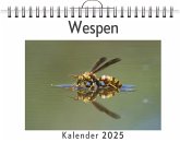 Wespen Wespen
