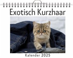 Cover Exotisch Kurzhaar