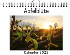 Apfelblüte - Maier, Olivia Apfelblüte - Maier, Olivia