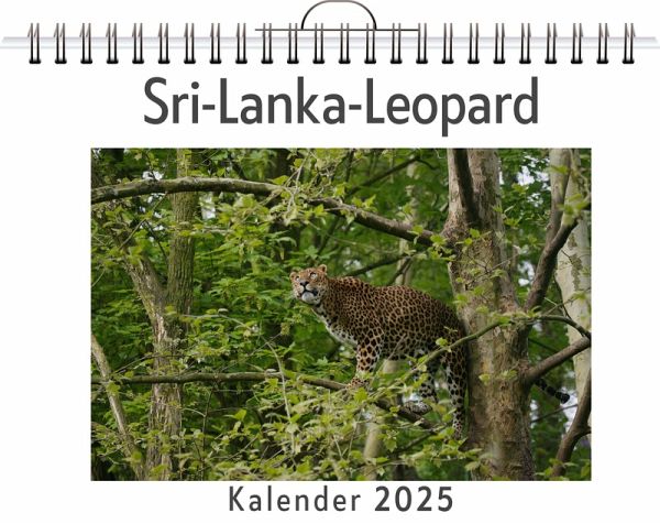 Sri-Lanka-Leopard