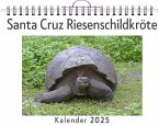 Santa Cruz Riesenschildkröte