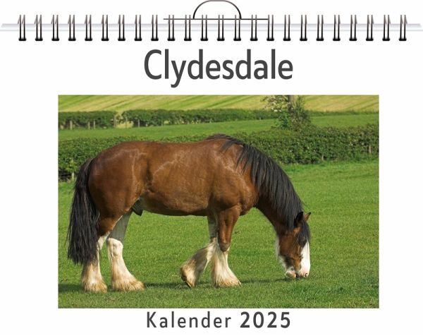 Clydesdale