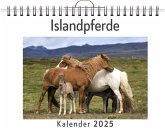Islandpferde Islandpferde
