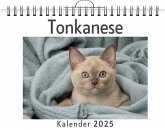 Tonkanese Tonkanese