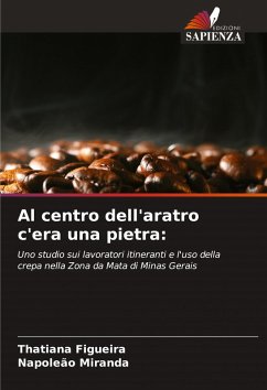 Cover Al centro dell'aratro c'era una pietra: