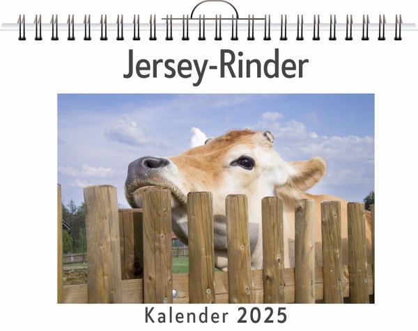 Jersey-Rinder