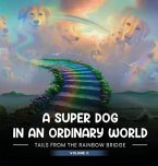 A SUPER DOG IN AN ORDINARY WORLD A SUPER DOG IN AN ORDINARY WORLD