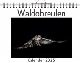 Waldohreulen Waldohreulen