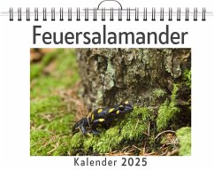 Feuersalamander - Günther, Paul