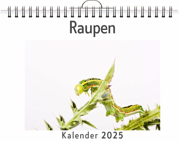 Raupen Raupen