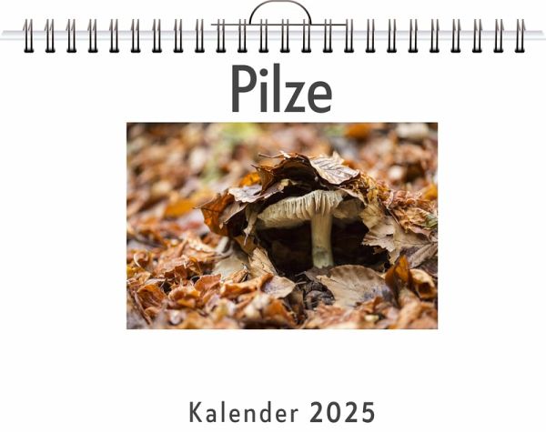 Pilze Pilze