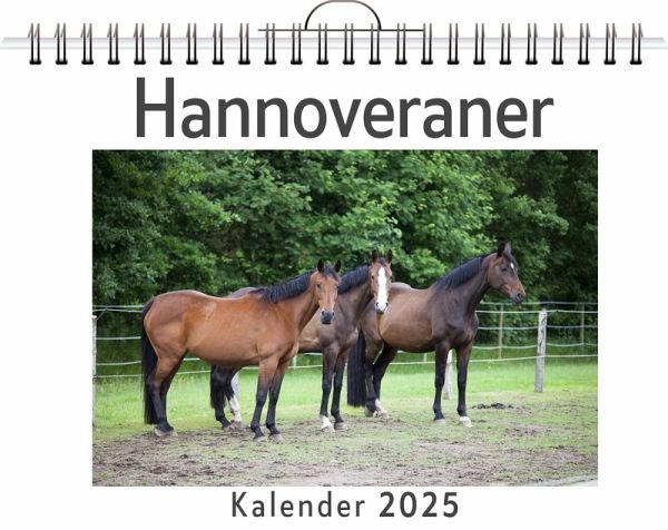Hannoveraner Hannoveraner