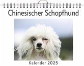 Chinesischer Schopfhund