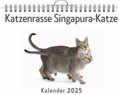 Katzenrasse Singapura-Katze - Wolf, Leon