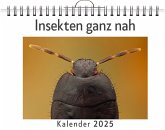 Insekten ganz nah Insekten ganz nah