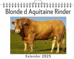 Blonde d Aquitaine Rinder - Lang, Luca