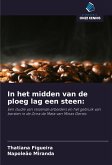 In het midden van de ploeg lag een steen: In het midden van de ploeg lag een steen: