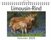 Limousin-Rind Limousin-Rind