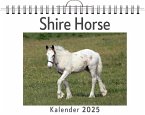 Shire Horse