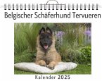 Belgischer Schäferhund Tervueren