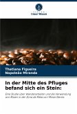 In der Mitte des Pfluges befand sich ein Stein: In der Mitte des Pfluges befand sich ein Stein: