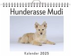 Hunderasse Mudi Hunderasse Mudi