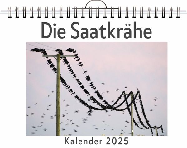 Die Saatkrähe Die Saatkrähe