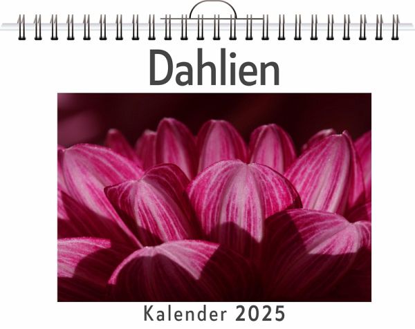 Dahlien Dahlien